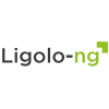 Tunneling sécurisé pour pivoting Ligolo-NG - Outil de pivoting pour tests d'intrusion